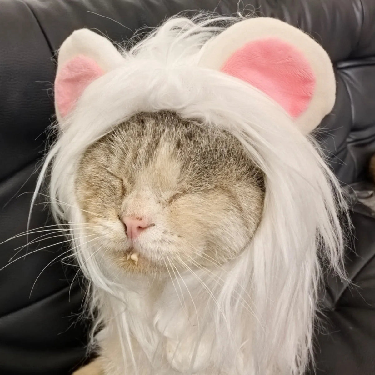 Fluffy Lion Mane Costume