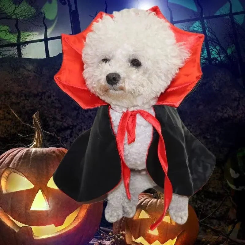 Vampire Cape Costume