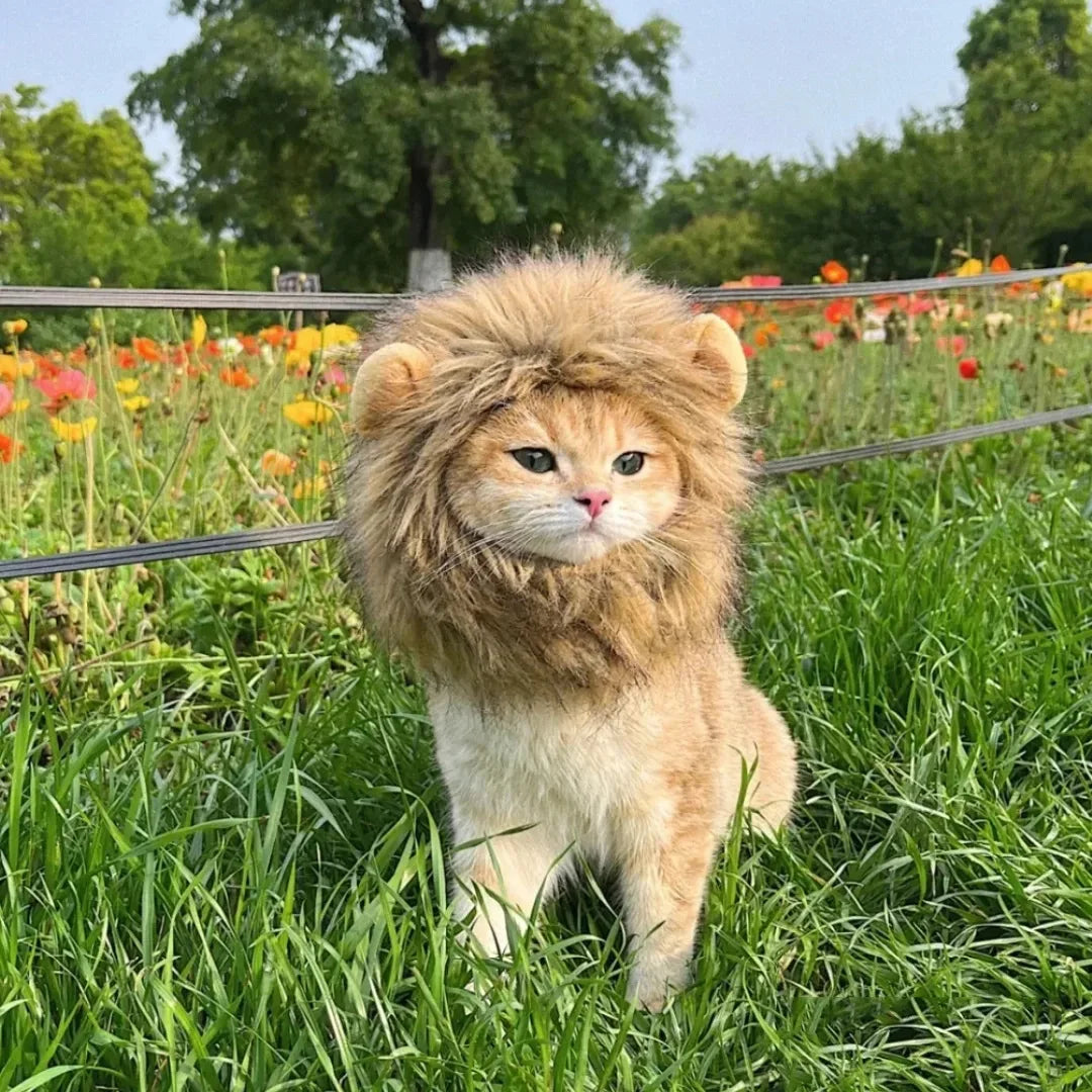 Lion Mane Costume