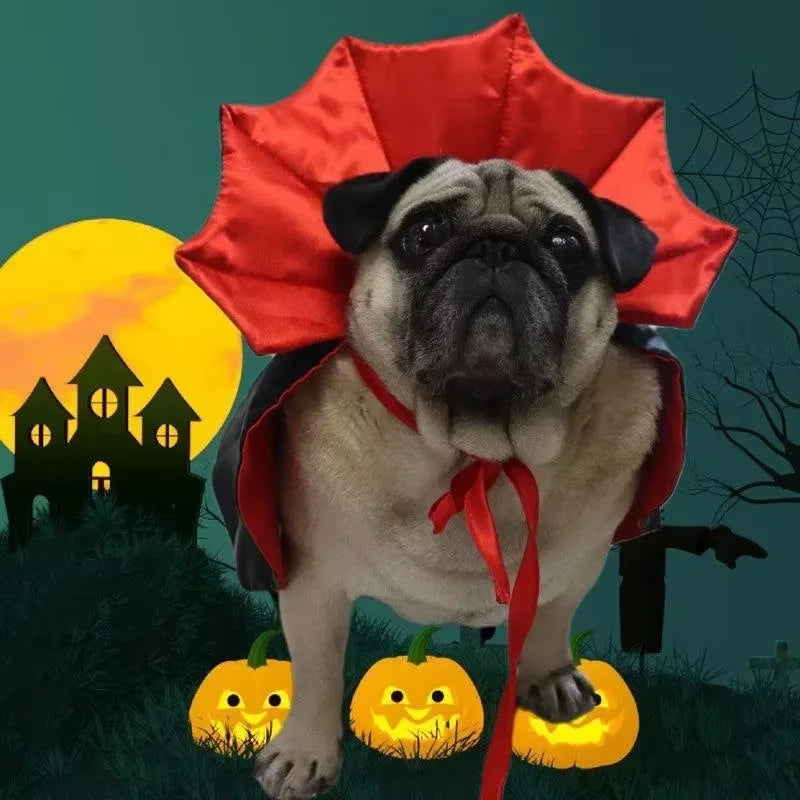 Vampire Cape Costume