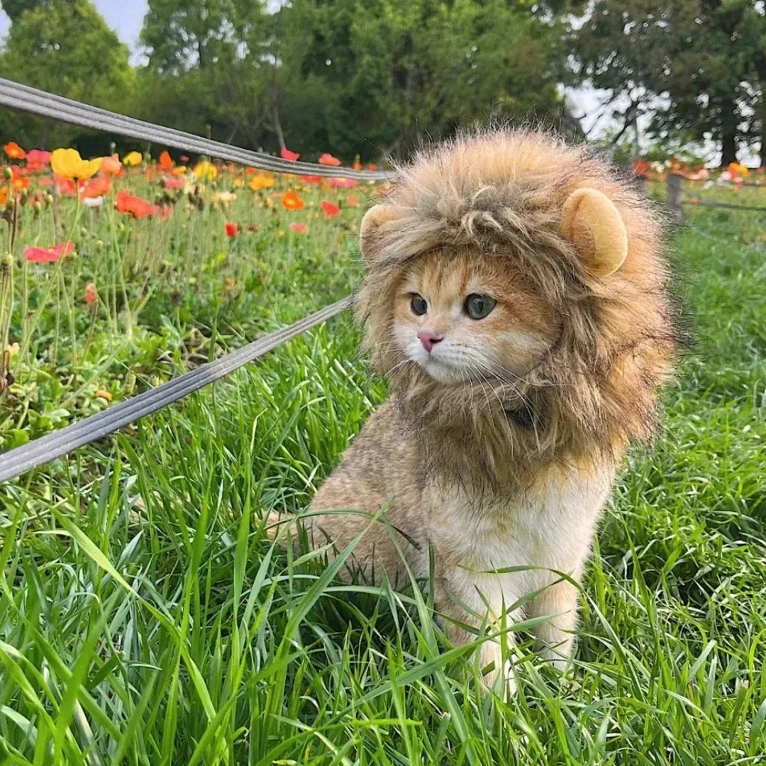 Lion Mane Costume