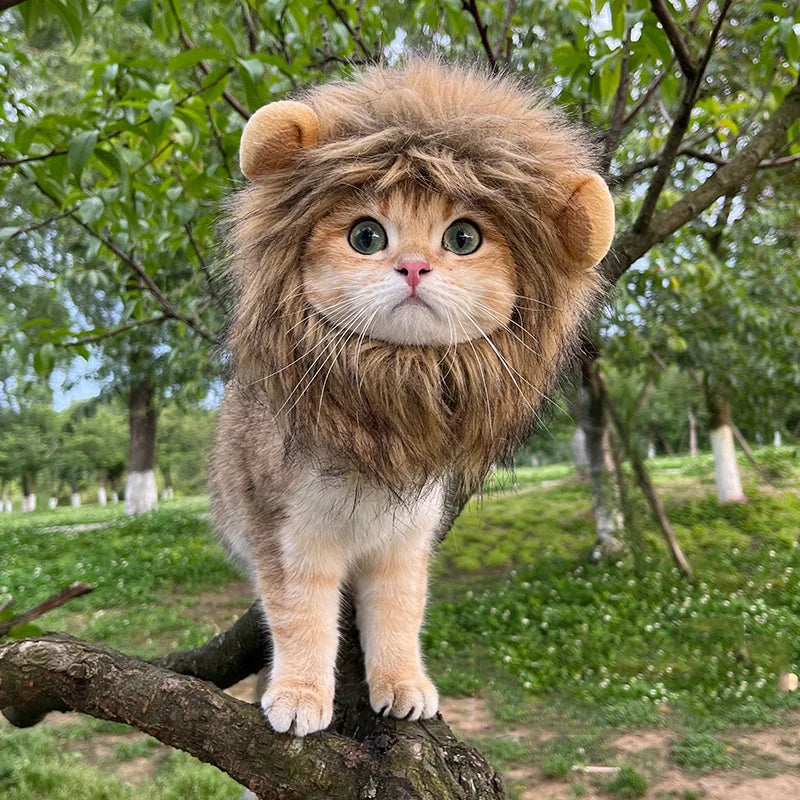 Lion Mane Costume