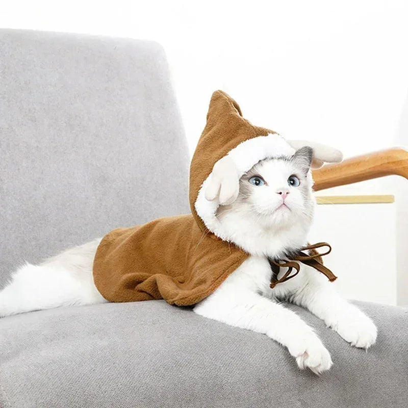 Santa Cape Costume