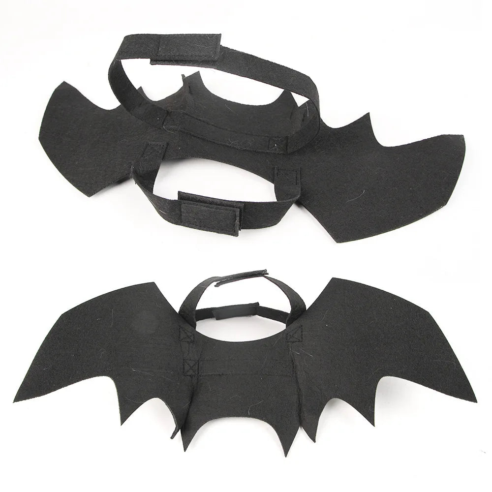 Bat Wings & Horns Costume