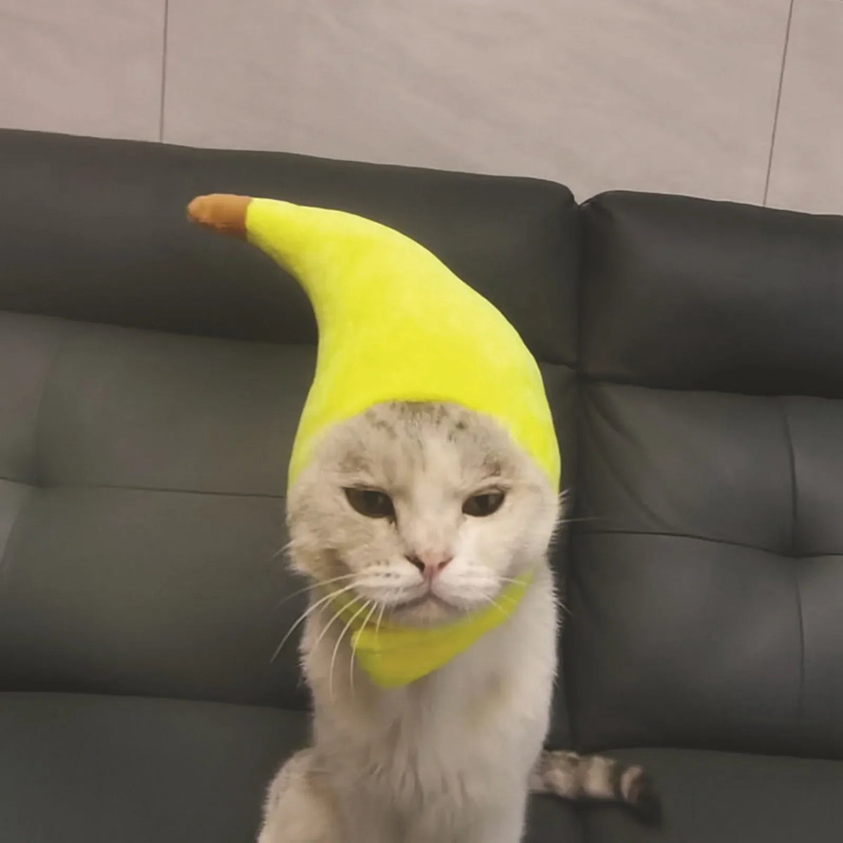 Banana Hat Costume